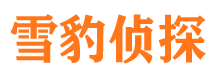 盐源市私家侦探